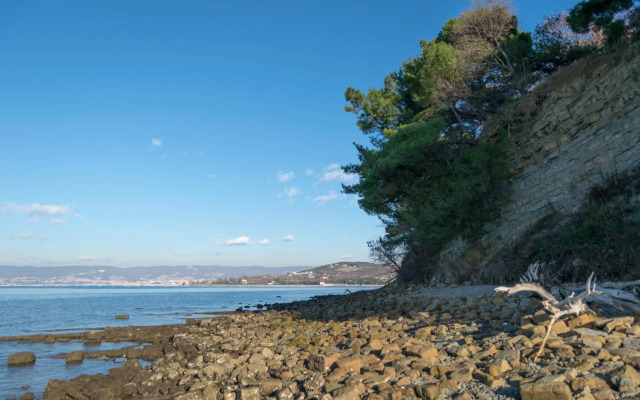 Apartment Bella Rosa