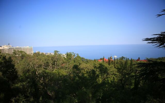Oliva Park