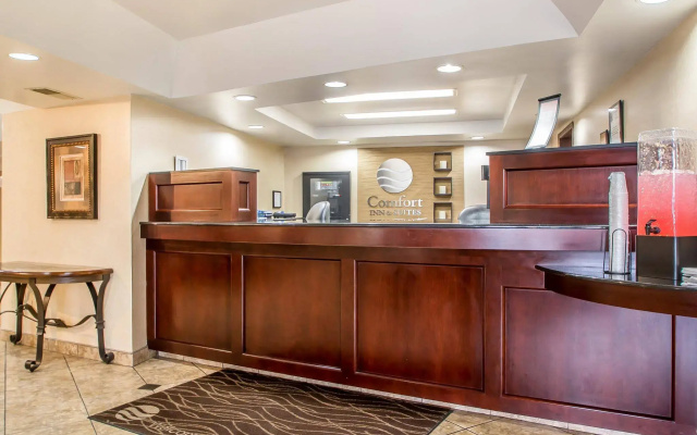 Comfort Inn & Suites Rochelle - DeKalb