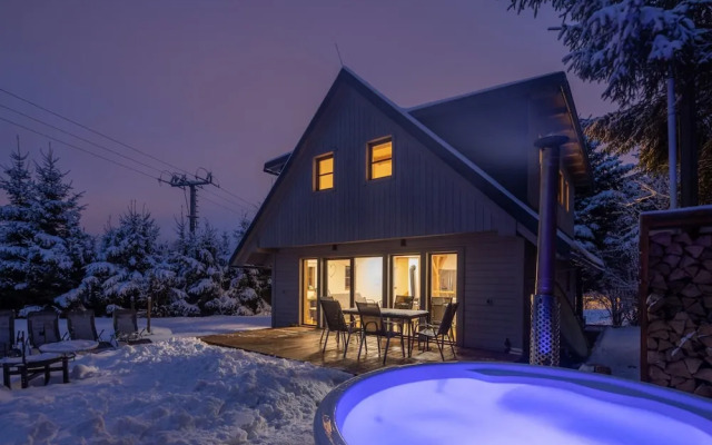 Villa in Dolni Branna With Sauna