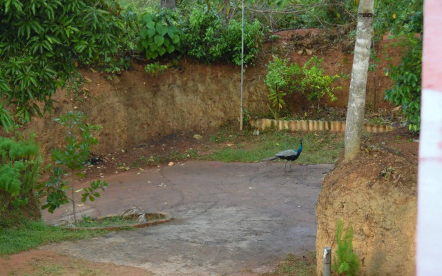 Mount View Villa Resort Mirissa