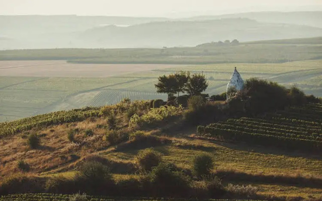 Weingut & Weinparadies Meyerhof