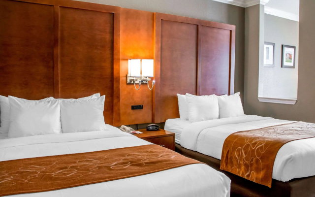 Comfort Suites New Braunfels - San Antonio Area
