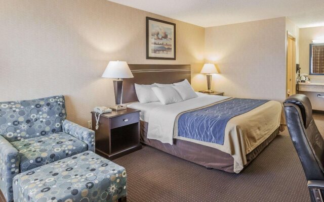 Comfort Inn On The Bay