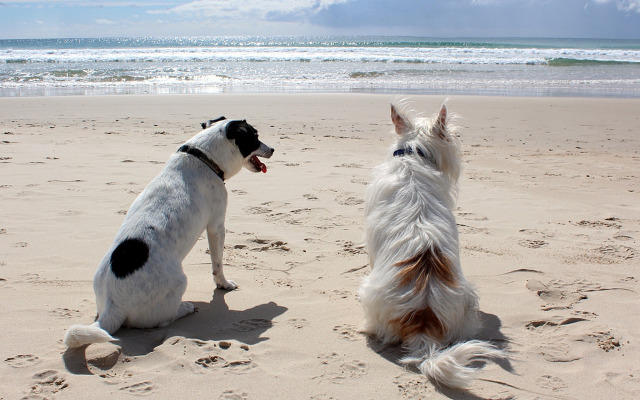 Par Sands Holiday Park