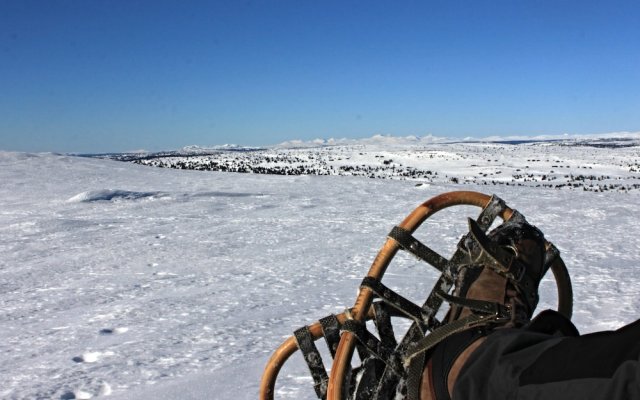 Hornsjø Høyfjellshotell