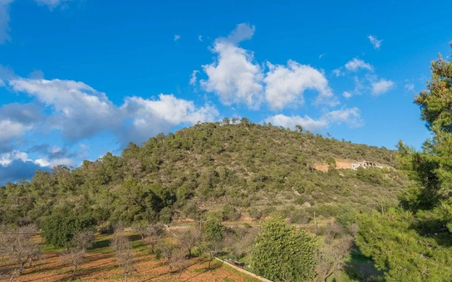 SON Alegre DE Bunyola