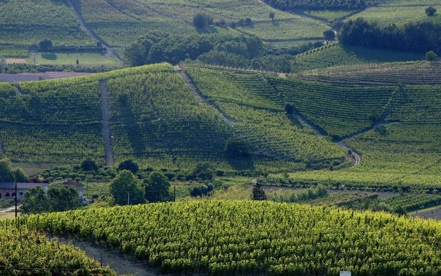 B&B Hotel Cherasco Langhe