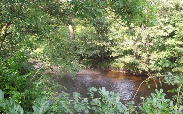 Dalgarven House Hotel