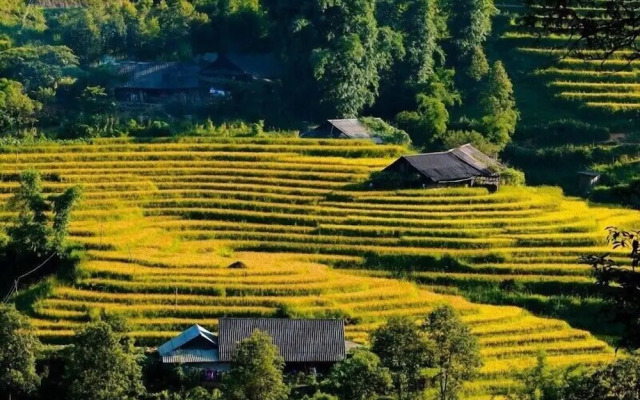 Saparis Station Hostel & Travel