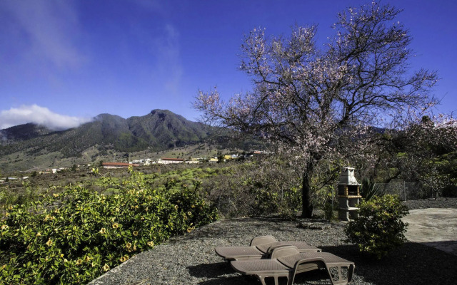 Los Guanches Bungalows