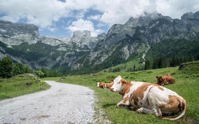 Bio Bauernhof Vorderoberlehen