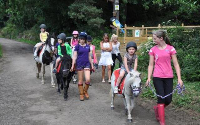 Wellsfield Farm Holiday Lodges