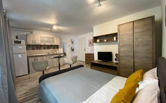 Urseni Studio Apartment