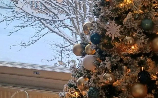 Tyylikäs yhden makuuhuoneen kohde luonnon lähellä