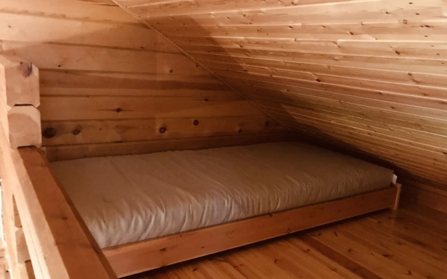 Metsä Kolo