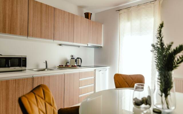 Luxury Apartments Zelny Trh 4