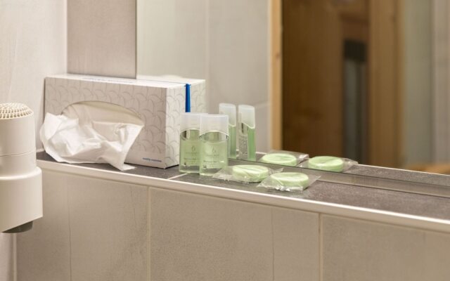 Luxurious Apartment Near Ski Area Maria Alm