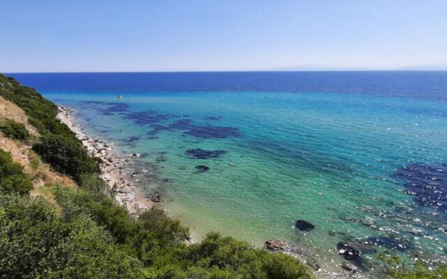 Oceanview 1