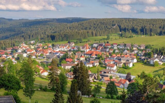 Schwarzwaldblick 11068