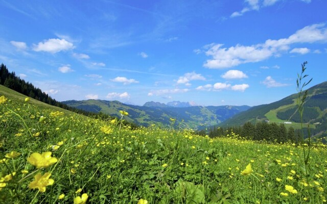 Modern Apartment Near Ski Area in Leogang