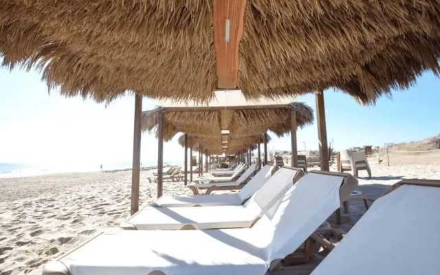 Blue Oliva Nova MET & Golf