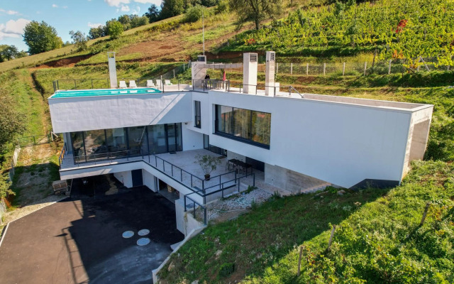 Villa Wineyard - VinoGrad
