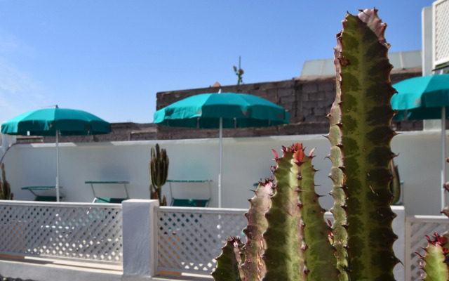 Miostello Lifestyle Riad Marrakech