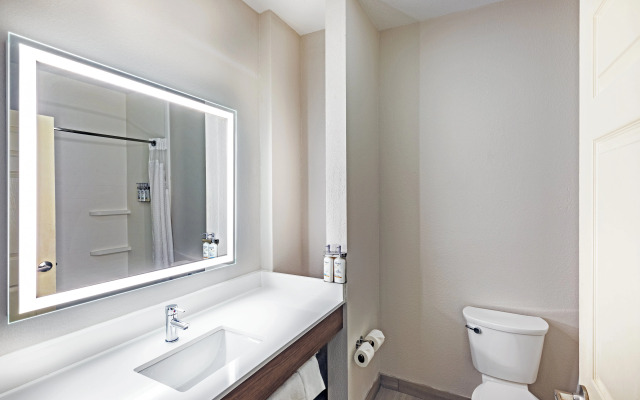 HOLIDAY INN EXP STES SPACE CTR by IHG