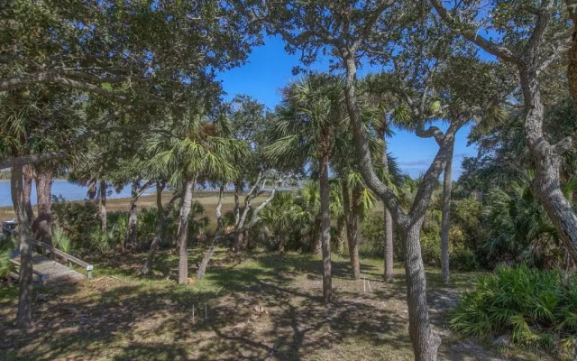 Camp Palms @ Indian Pass