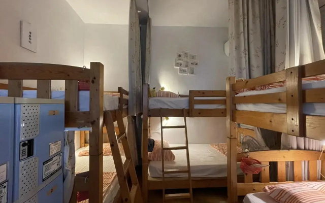Backpacker Dog Hostel