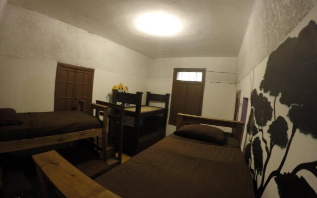 Amatle Cafe Organico & Hostel