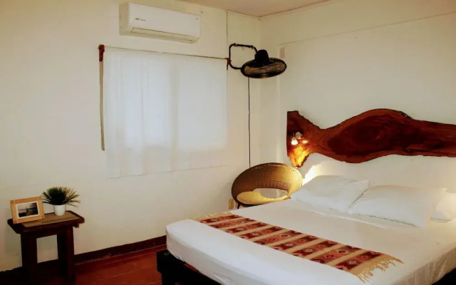 Pata de Perro Bacalar