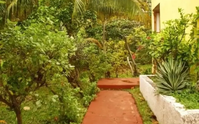 Yamil House