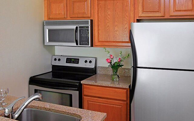 Tampa Waterfront 14179