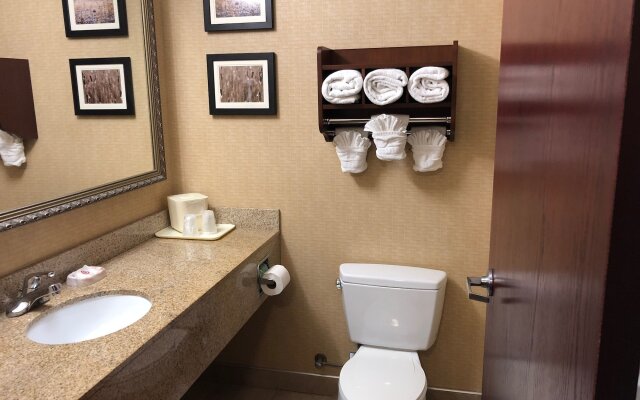 Comfort Suites South