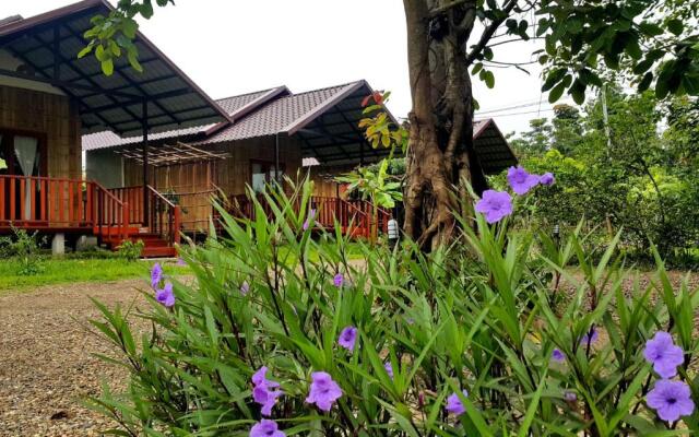 Chiang Dao Reset