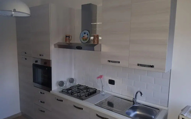Casatua
