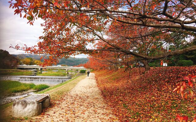 Your Pavilion near Kinkakuji