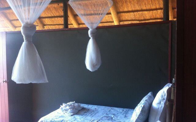 Lion Roars Lodge