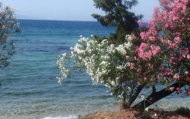 Aliki Studios