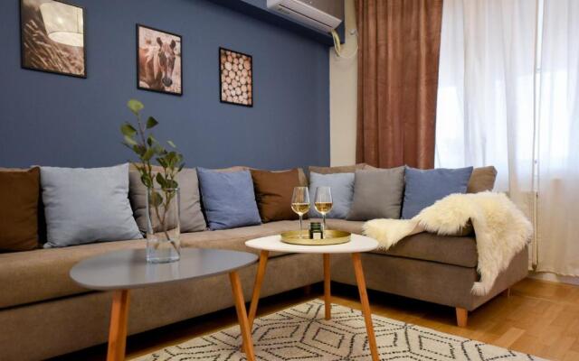 THE DREAM Apartment - Near Radisson Hotel