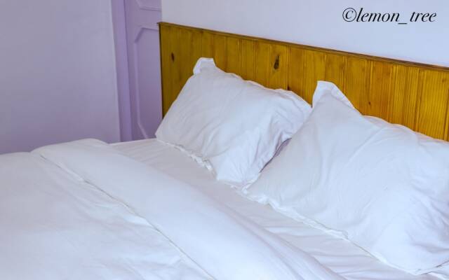 Lemon Tree Apartment and Homestay