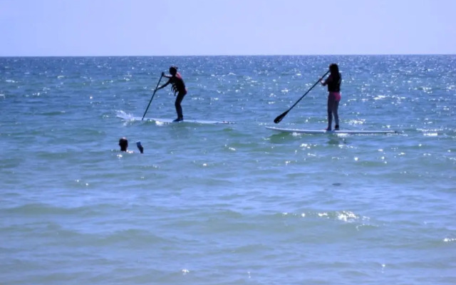 Anna Maria Island 1301 6B