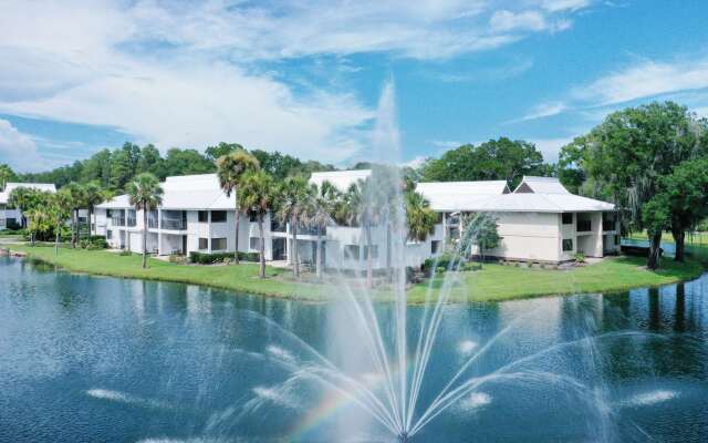 Saddlebrook Golf Resort & Spa Tampa North - Wesley Chapel