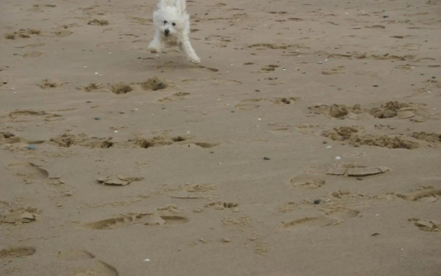 Beach Links