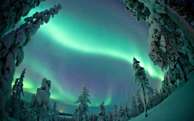 Ounasvaara Lakituvat chalets