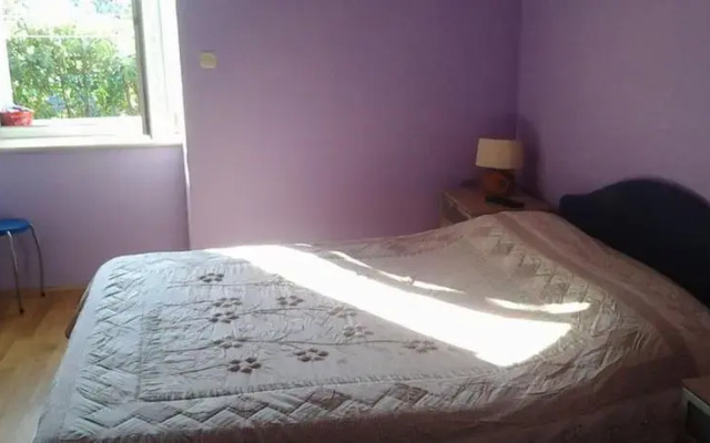 Apartment Ana