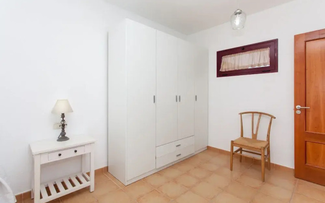 Anahi Home Dracaena 4