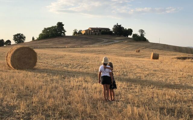 Poggio alla Pietra 26